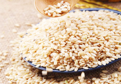 减肥期间可以吃糙米