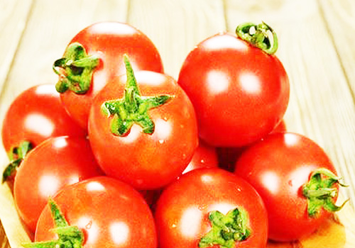 西红柿减肥效果